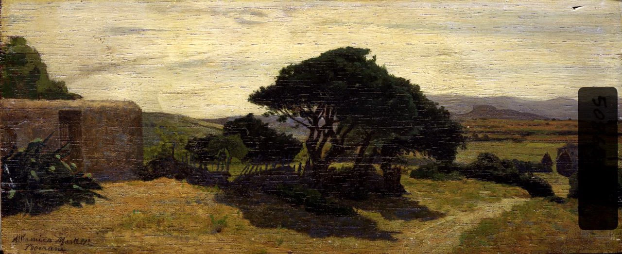 Castiglioncello. paesaggio con alberi - Palazzo Pitti